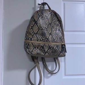 Back pack purse